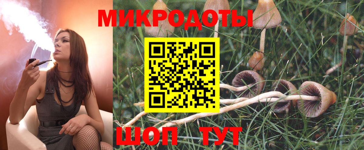 Невинномысск  Псилоцибиновые грибы Psilocybe  где купить наркотик  Вход с VPN 