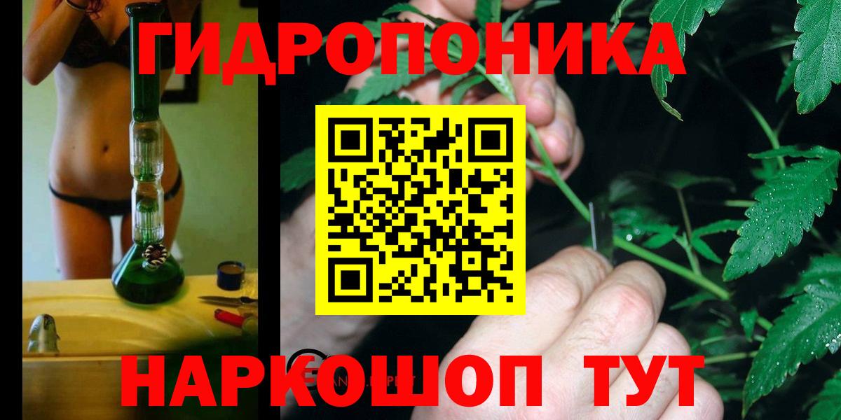 Бошки Шишки гибрид  Бошки Шишки индика  Вход с VPN  Невинномысск 